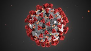 Coronavirus